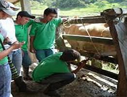 Carrera agropecuaria