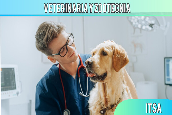 Veterinaria y Zootecnia